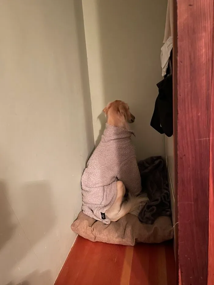 30 Unfortunate Neighbors Of Truly Terrible People