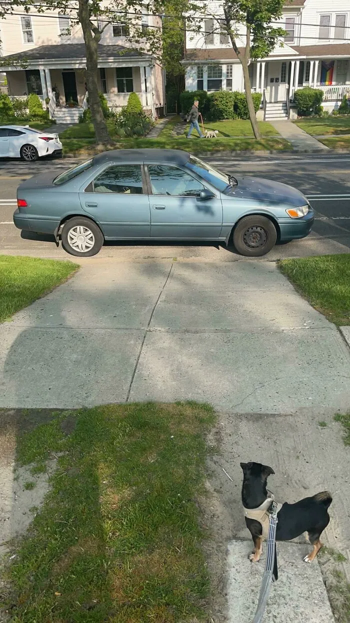 64Ff3099Cd977 Ytiq5Zwn92Za1 700