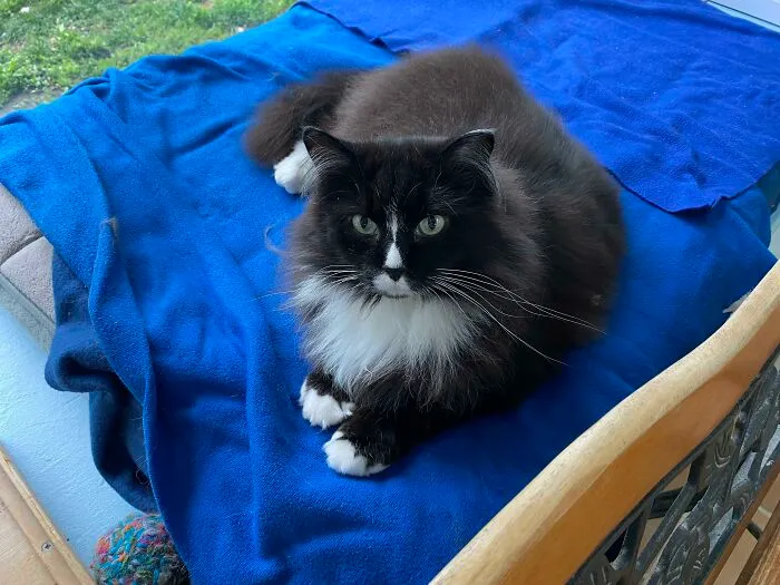 651543Cd25Fa7 Ucbcno0N6Bob1 700