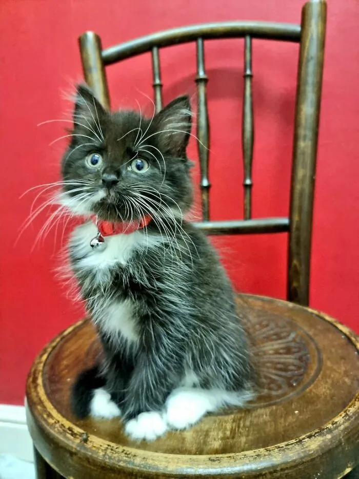 651543F709407 Rjwd3Lj674Mb1 700