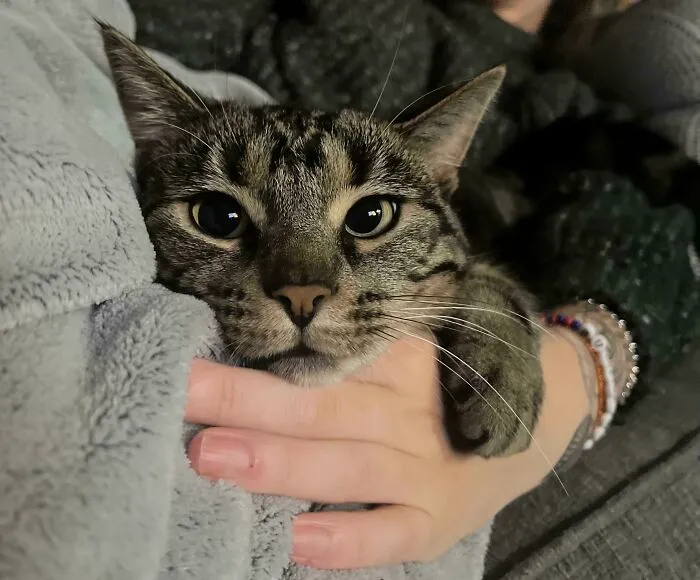 651544Bb1De27 90H1Jaene4Pb1 700