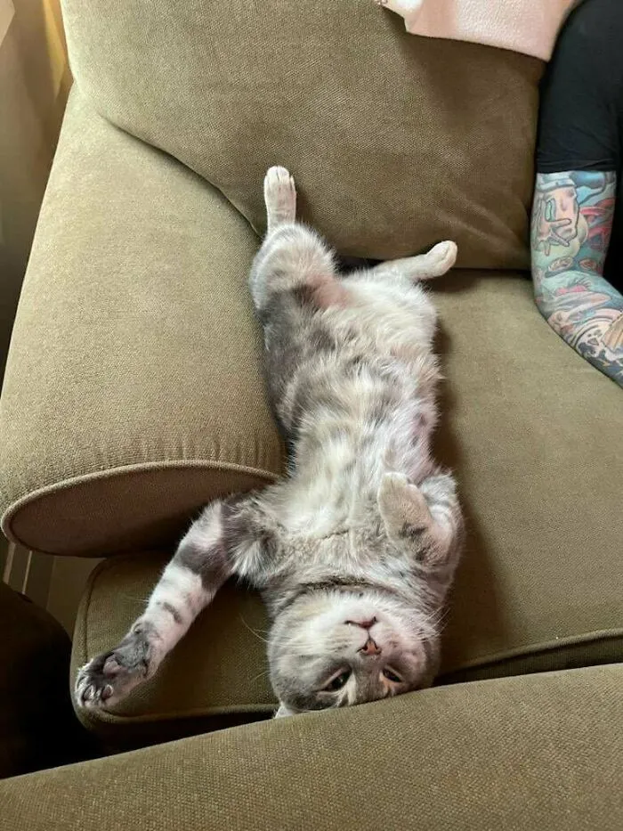 65154963F18A5 Rpu0Ja0380Pb1 700