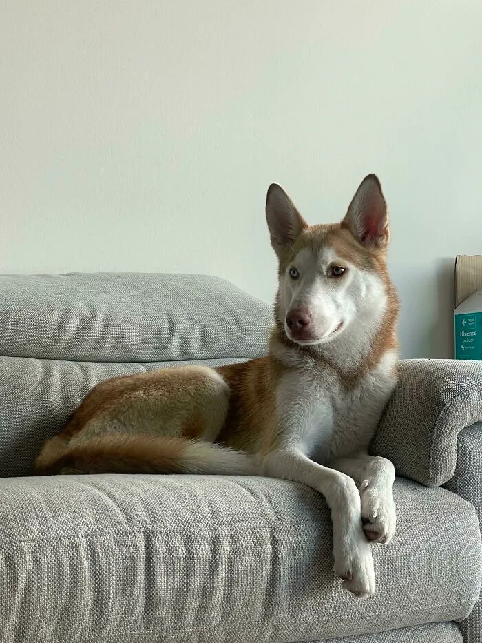 65154B183D5B2 Z9775E85Siob1 700