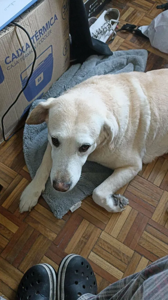 65154C610716E 8Mstljeo2Onb1 700