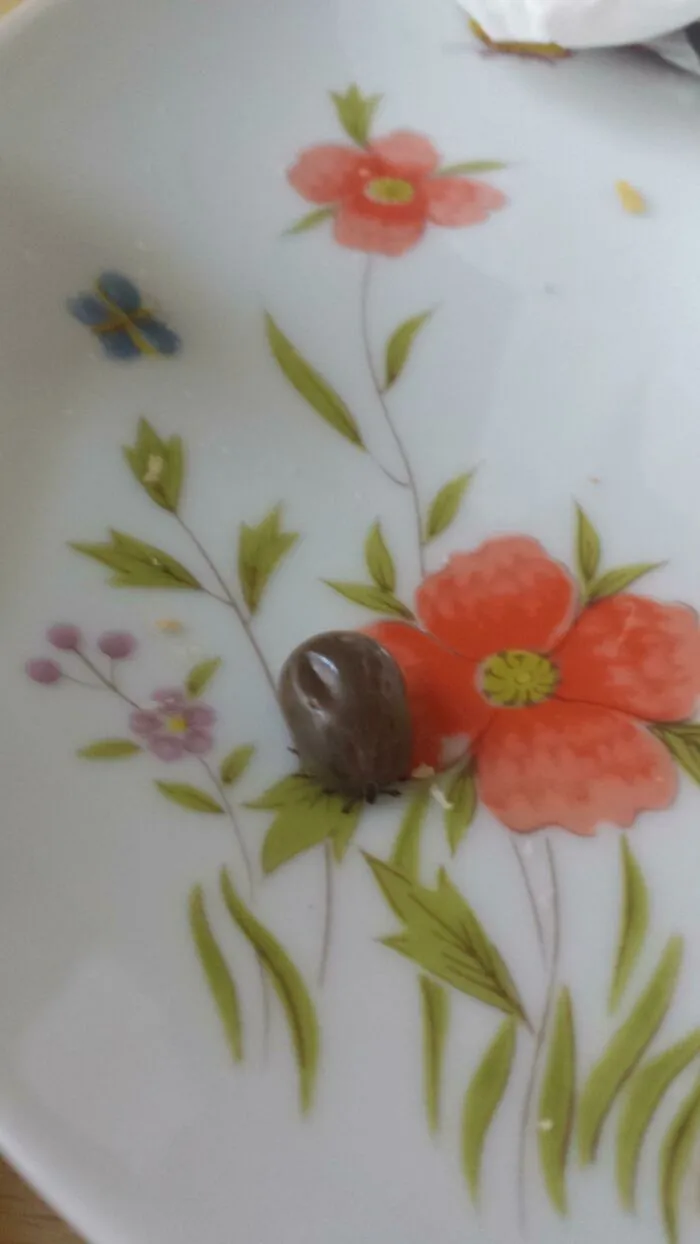 651D10E655F47 Rhh6Qxj 700