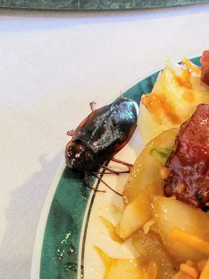 651D112C3Ba68 P3Ss7D2Qf8Q01 700