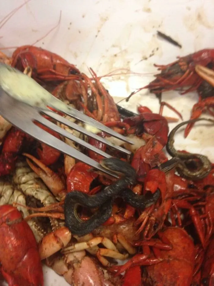 651D1141D7488 Otdtolm 700