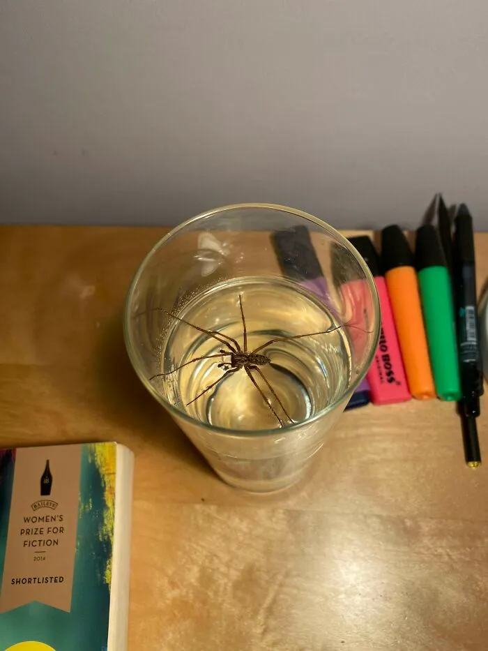 30 Individuals Experiencing A Terrible Food Day