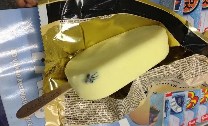 651D359E281Bc Gydrpmn 700