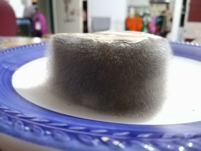 651E5Ad4C2Fda Y7Q7Usq16Rq11 700