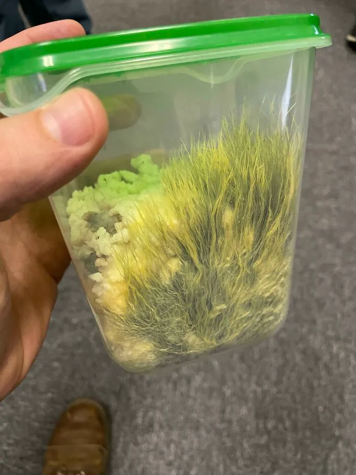 651E5B45E1C84 Zy4Ljknshqo81 700