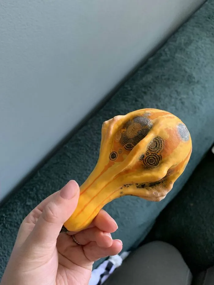 651E5C3E92436 4T68Bh6Shrla1 700