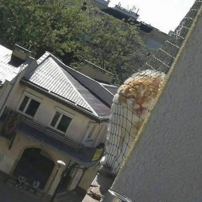 30 Unusual And Bizarre Images