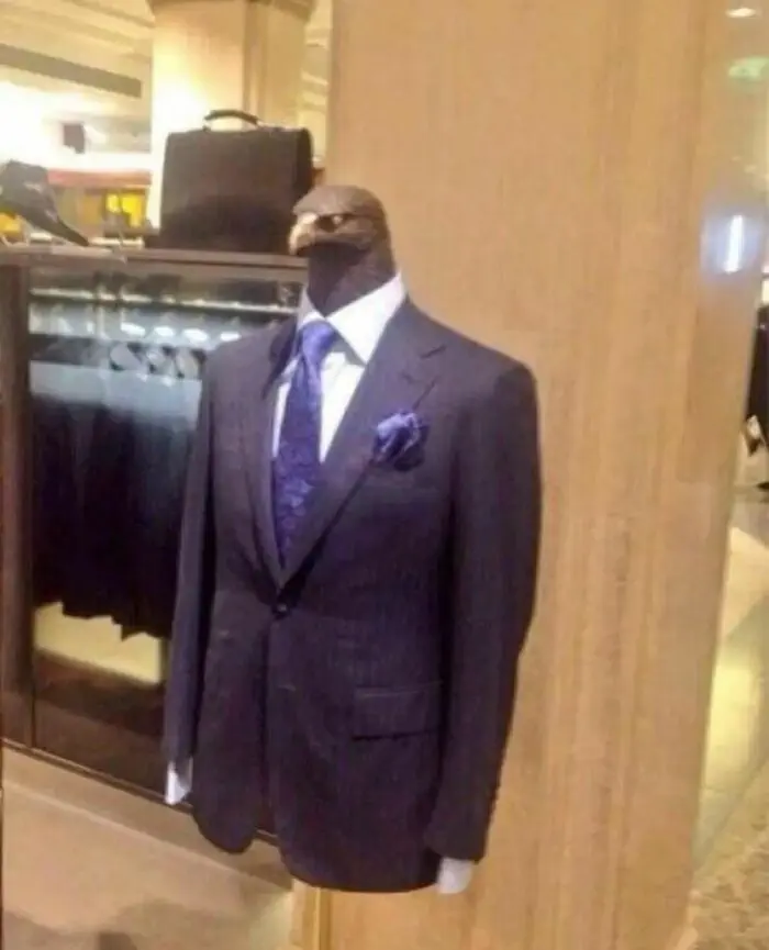 30 Hilariously Odd Images Emitting A Distinct Cursed Vibe