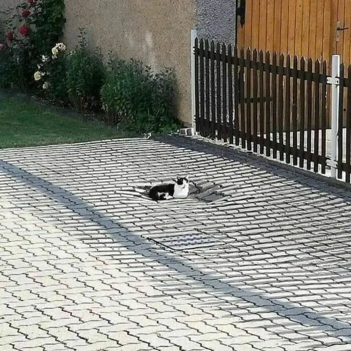 30 Hilariously Odd Images Emitting A Distinct Cursed Vibe