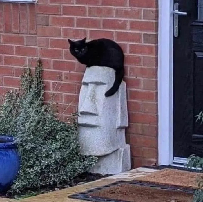 30 Captivating Random Images That Demand Your Attention&Nbsp;