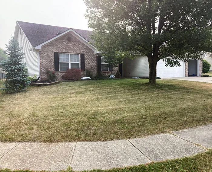 Bad Terrible Neighbors 111 650021F6E772D 700