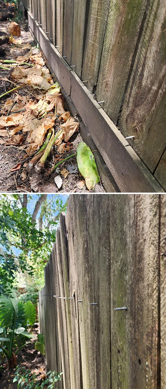 Bad Terrible Neighbors 39 651Aca8F7813F 700