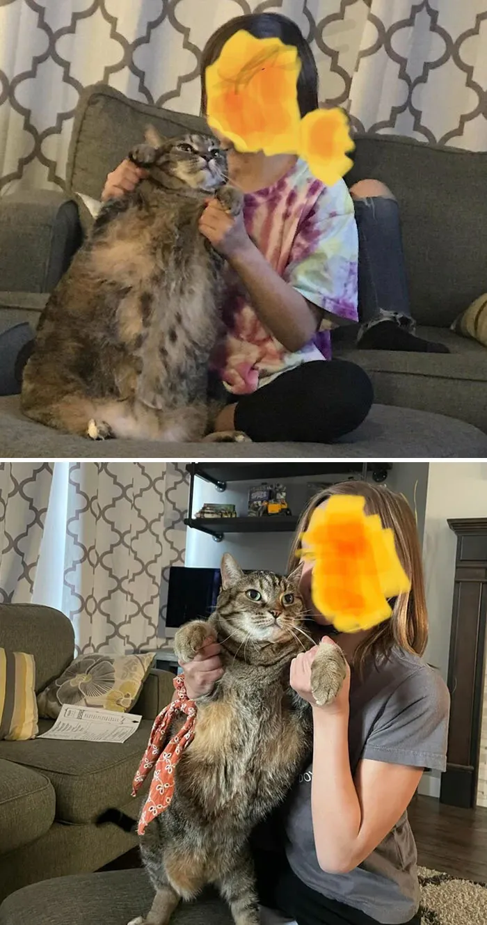 Cats Losing Weight Before After 71 651437Ffb33Fe 700