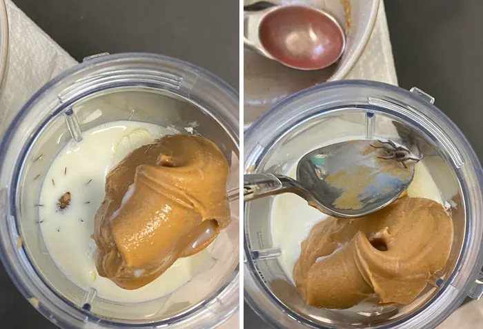 Disturbing Nasty Food Pics 5 651D35D7B3A14 700