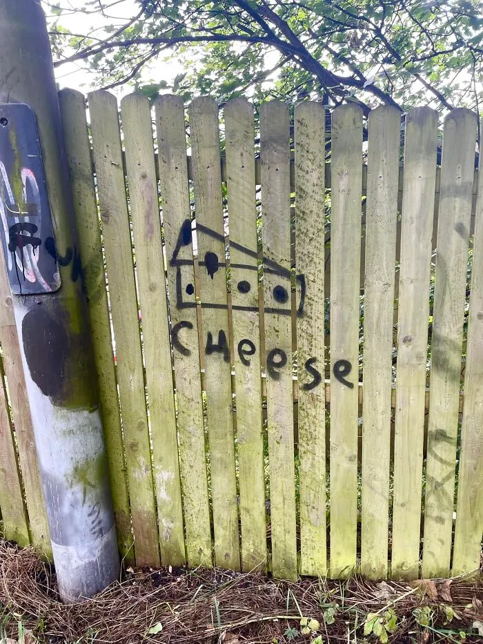 Funny Weird Graffiti 64Ccfe1Dd403A 700