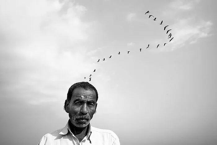 30 Intriguing Images That Will Fascinate You