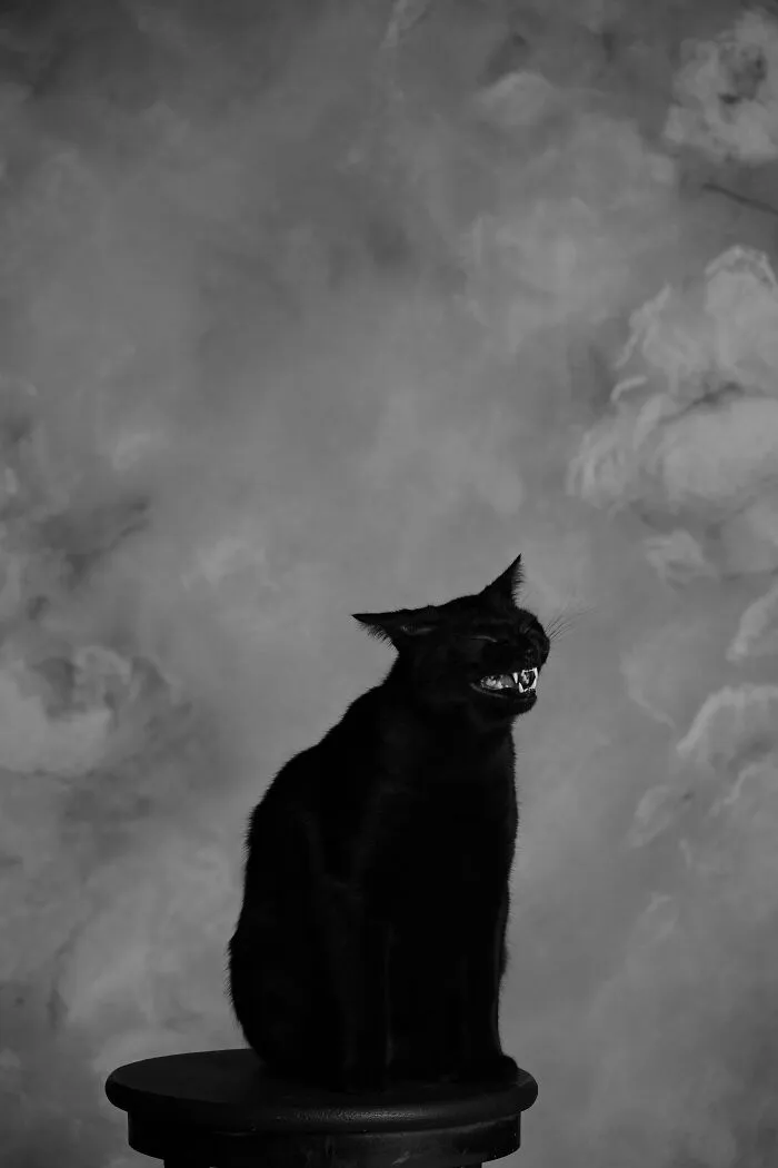 654Dd68C03219 Vuzq598K7Hs81 700