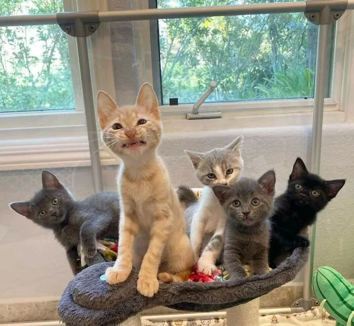 654Dd6Dd0B599 U1Dhfsvuv6W81 700