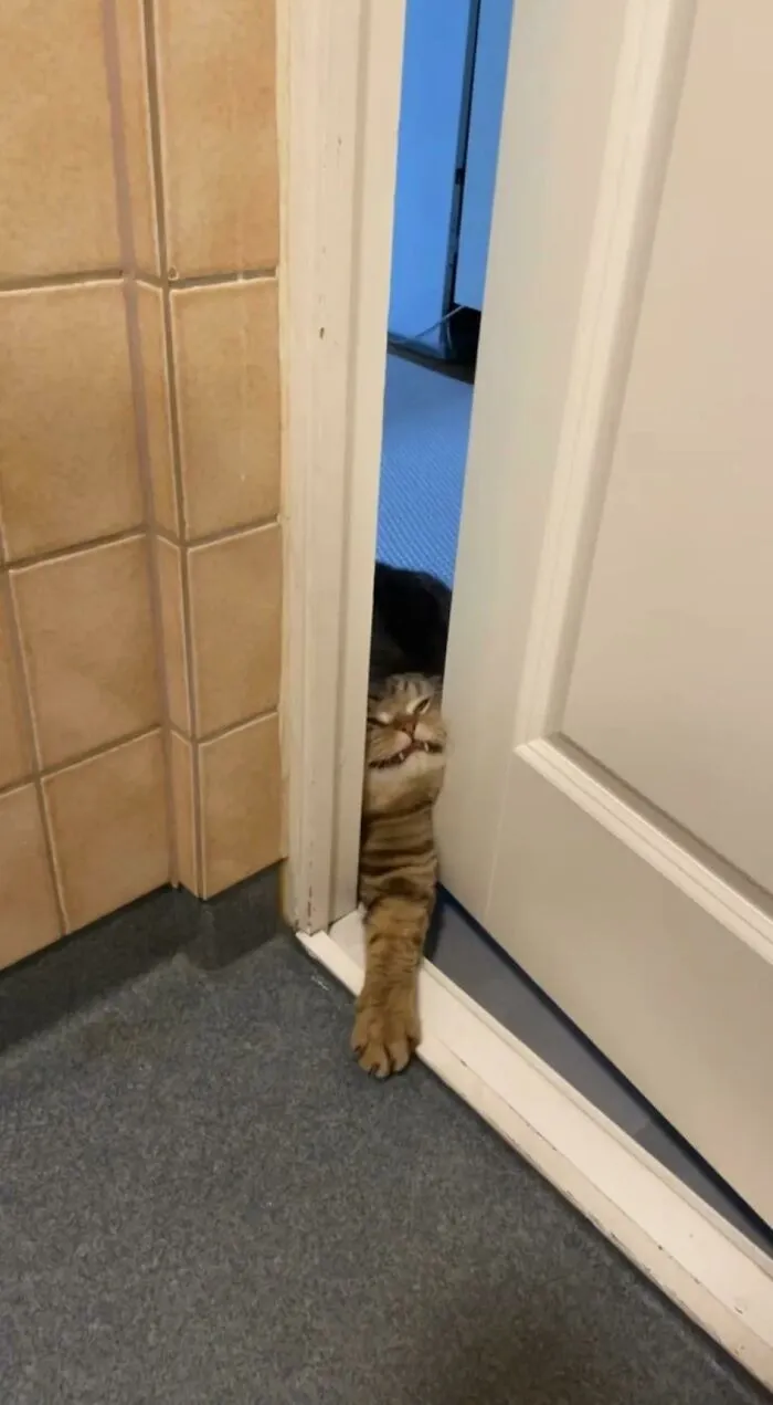 654Dd79E7768C 4Isc69Oi2Sc91 700