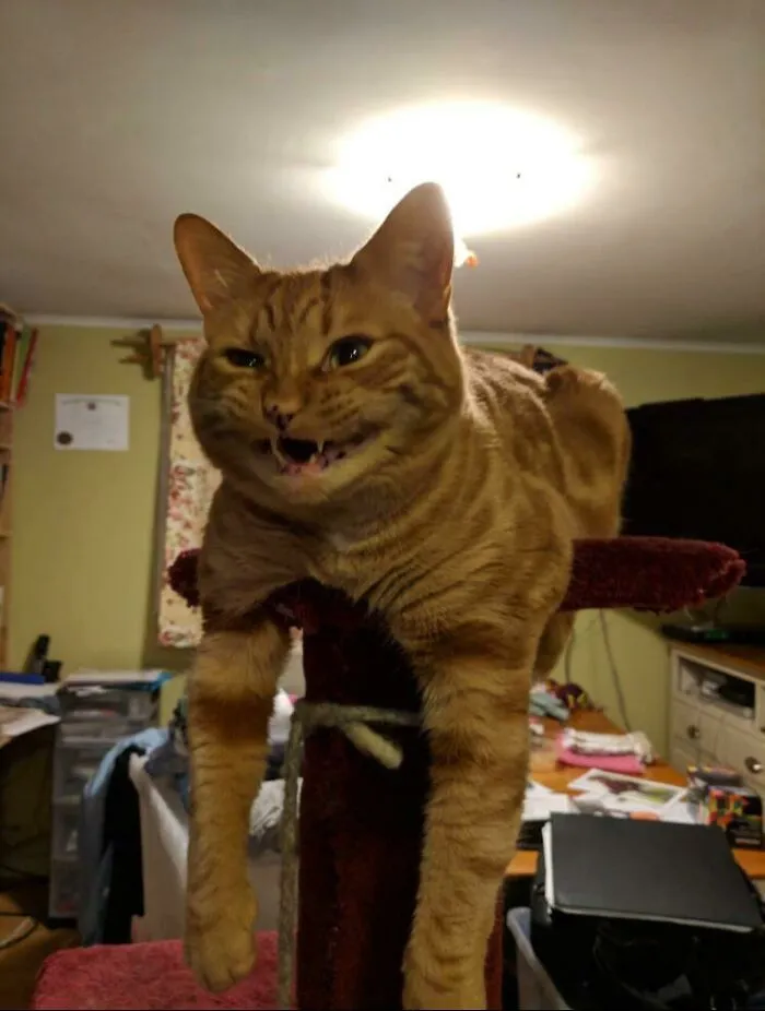 654Dd7E5A6576 Gfjrp4Vwy66A1 700