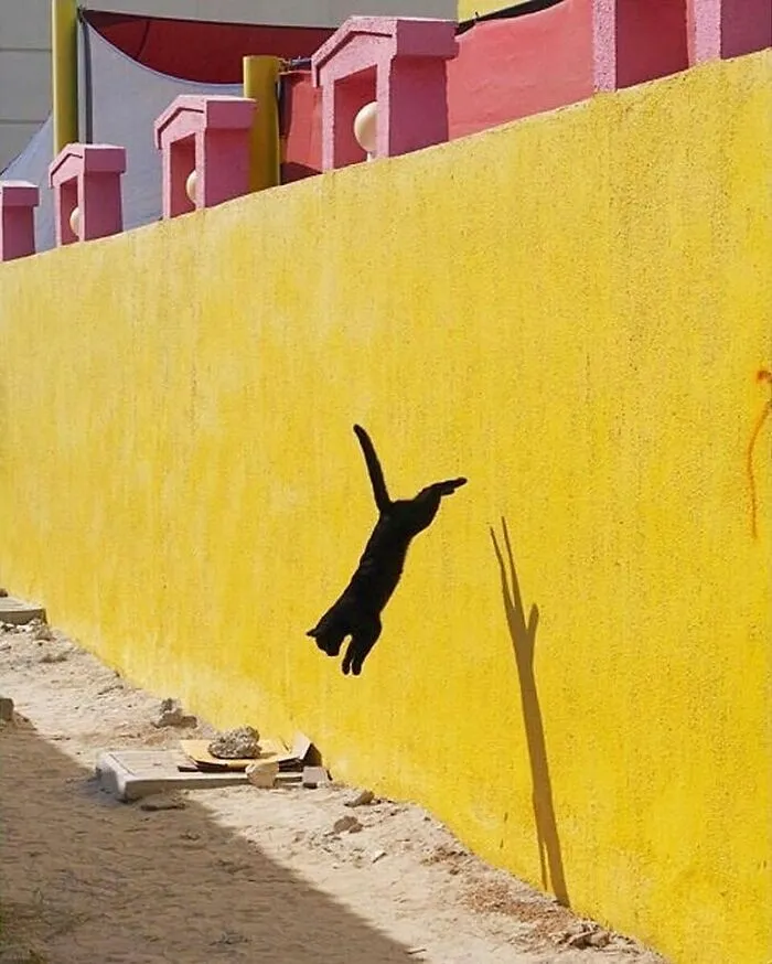Decisive Moments Magazine Continues To Showcase Fascinating Moments Captured By Street Photographers 50 New Pics 6544D0B512C4B 700
