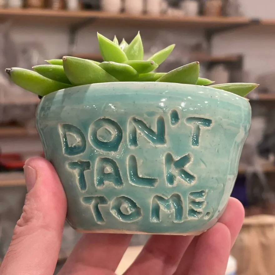 More Than 37 Dishes With Issues By Ceramic Artist Dave Zackin 63C1481E715A3 880
