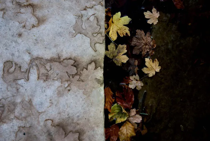 The Winners Of The European Wildlife Photographer Of The Year 2023 Have Been Announced 6544E854Cba86 700