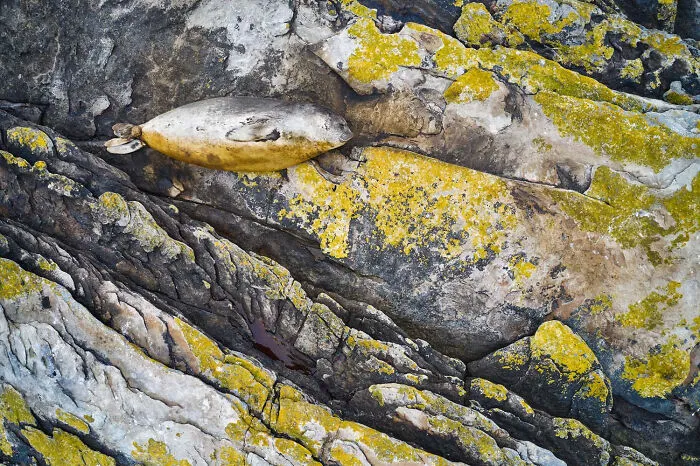 The Winners Of The European Wildlife Photographer Of The Year 2023 Have Been Announced 6544E88B0Fb68 700