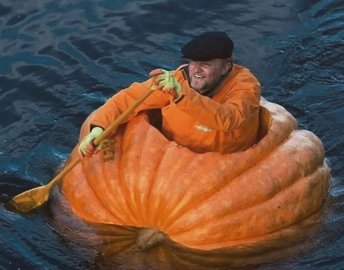 Concepttalk 20211030 211341 250180116 198611438980470 1147601056754024463 N 6544E942B2Cc9 Jpeg 700