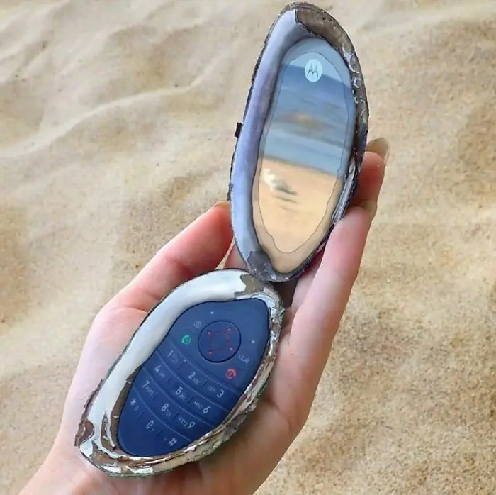 Gabbois 20210603 213022 196525515 803892630257119 4991703607812007012 N 6544E92D42969 Jpeg 700