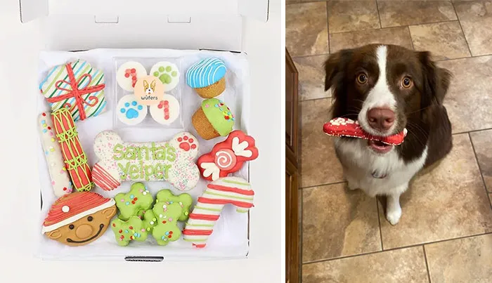 Holiday Products For Pets And Their Owners Amazon 16 65390169Baa72 700