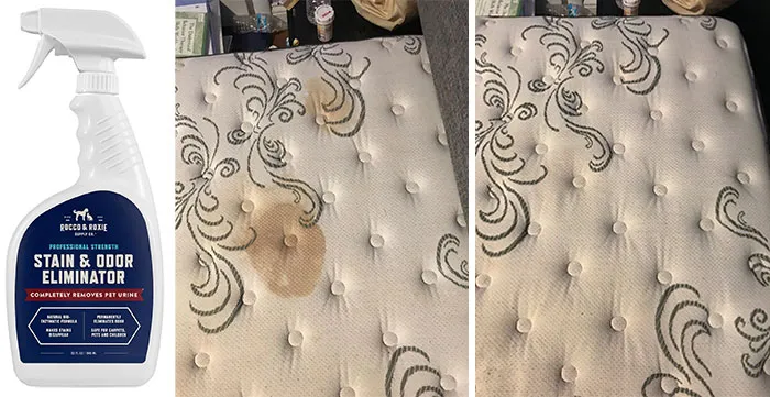 Products Solve Annoying Pet Problems 1 654B67A7A93A8 700