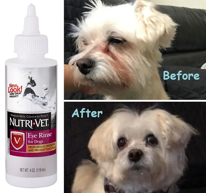 Products Solve Annoying Pet Problems 13 654Ca136Cdffc 700