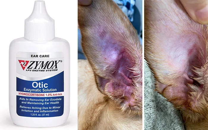 Products Solve Annoying Pet Problems 15 654Ca6Da98E12 700