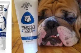 Products Solve Annoying Pet Problems 3 654B7E4C45145 700