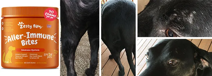 Products Solve Annoying Pet Problems 6 654B8755282D5 700