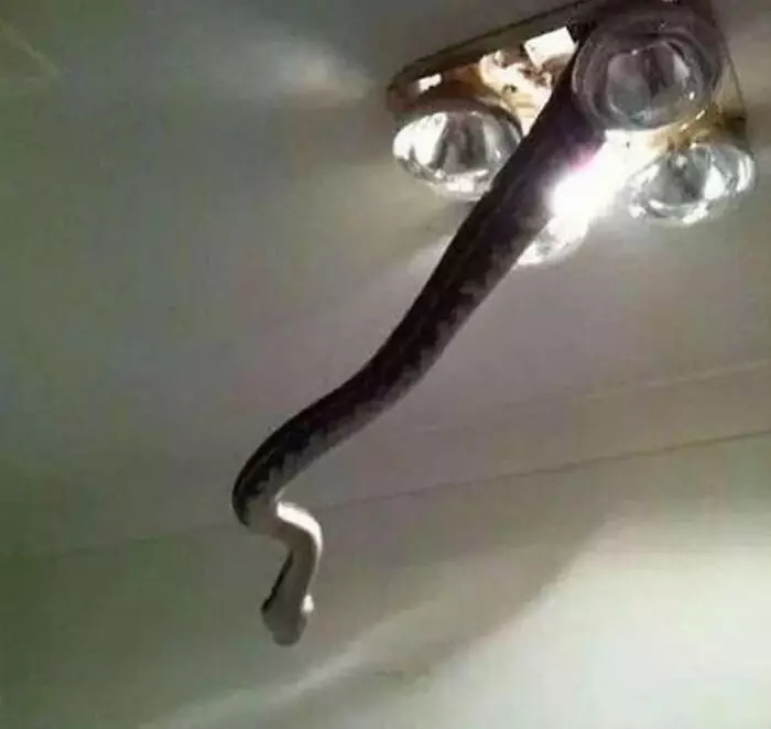 Unfortunate Events Pics 654C934A56035 700