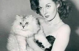 367513473 1005055077297587 9150835683448129843 N 656Cd6Dc598B8 700