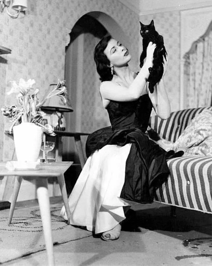 370709703 600833055546355 7487995075212025296 N 656Cd6E2D5101 700