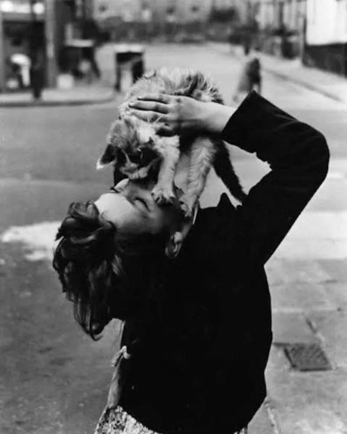 372969368 988620285804428 2829864168450457506 N 656Cd6E89D60A 700