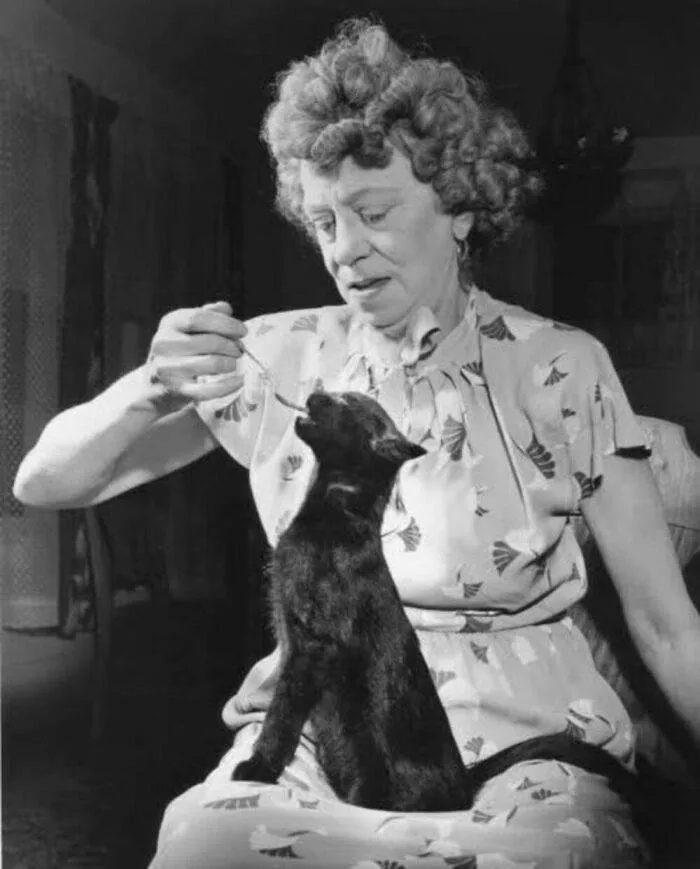 374697307 6762961100426729 7017579721966613433 N 656Cd6Eac2Aec 700