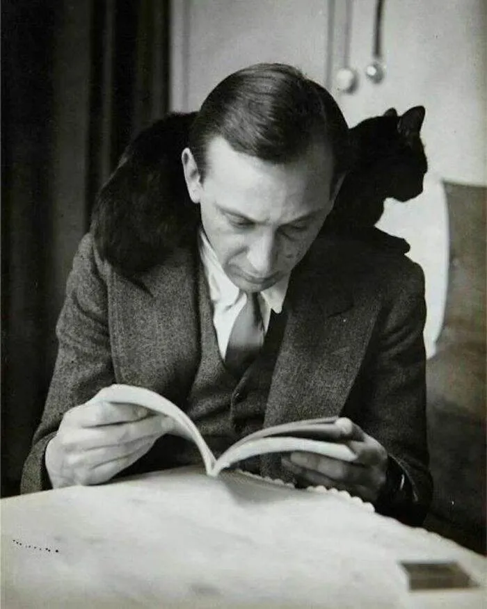 378589032 732467608640129 1727607495663631716 N 656Cd6F62A7A5 700