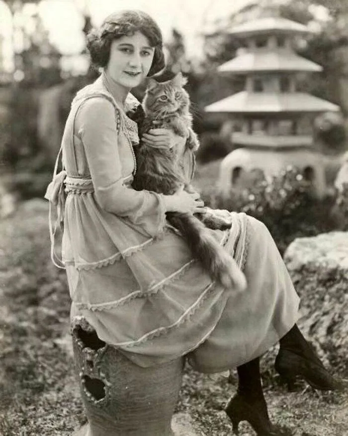 379735952 287378954098643 5205773156161975392 N 656Cd6Fc09Ada 700