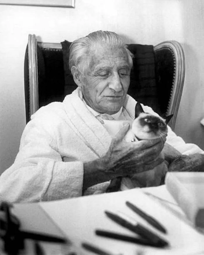 385192489 2063053210696894 801680593787573324 N 656Cd70712C11 700